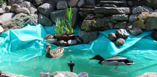 Jak wykonać oczko wodne