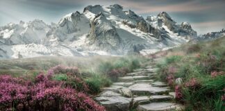 Czym malować kamienie polne?