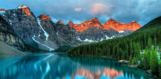 Czym zabezpieczyć kamień na ścianie?