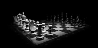 Jak rozpoznać królowa w ulu? Jak rozpoznać królowa w ulu?