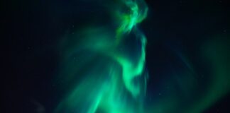 Co dodać do ziemi żeby była bardziej przepuszczalna?