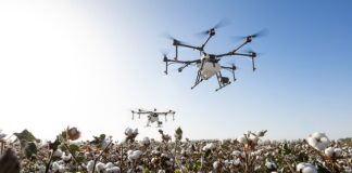 Co oznacza G1 G2 G3 SEP? Co oznacza G1 G2 G3 SEP?