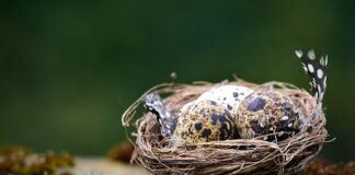 Co jeśli Przewierci się kabel?