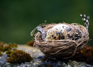 Co jeśli Przewierci się kabel?