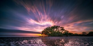 Co wybrać Brodzik czy odpływ liniowy? Co wybrać Brodzik czy odpływ liniowy?