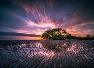 Co wybrać Brodzik czy odpływ liniowy? Co wybrać Brodzik czy odpływ liniowy?