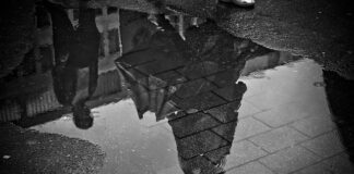 Czy Grunt chroni przed wilgocią?