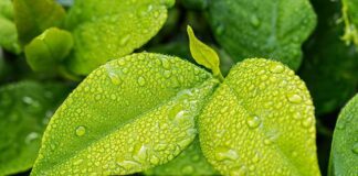 Co należy chronić przed wilgocią? Co należy chronić przed wilgocią?