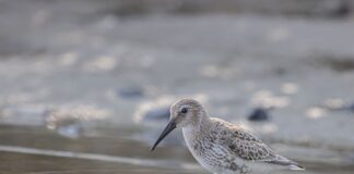 Czy każdy brodzik pasuje do każdej kabiny?