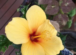 Jakie są rodzaje rynien? Jakie są rodzaje rynien?