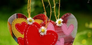 Do czego służy przewód czterożyłowy? Do czego służy przewód czterożyłowy?