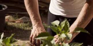 Czy kabel neutralny to uziemienie?