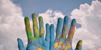 Jak spulchnić ziemię w doniczce?