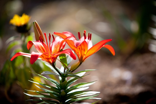 Co to znaczy mm2? Co to znaczy mm2?