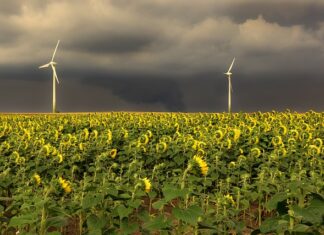 Jaka jest kolejność faz kolory? Jaka jest kolejność faz kolory?