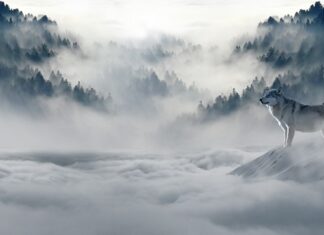 Czy stan zero można zostawić na zimę?