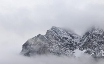 Czy przewód neutralny to minus?