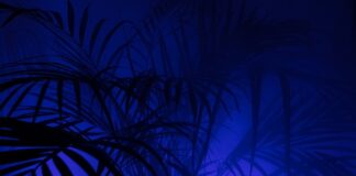 Co oznacza litera P na włączniku? Co oznacza litera P na włączniku?