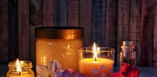 Kiedy matki pszczele?