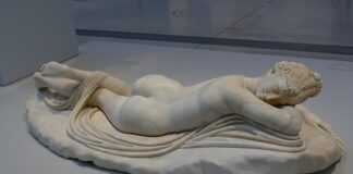 Ile lat żyją sikorka?