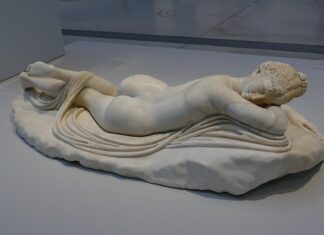 Ile lat żyją sikorka?