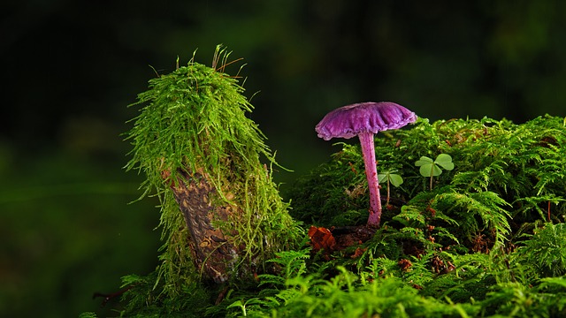 Czy Zdzierać stara farbę przed malowaniem? Czy Zdzierać stara farbę przed malowaniem?