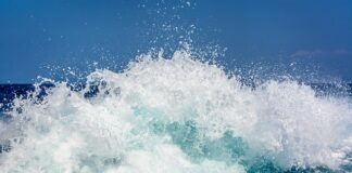 Co to jest Lazura brokatowa?