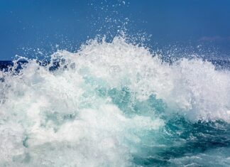 Co to jest Lazura brokatowa?