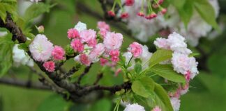 Jaka jest żywotność bloków z wielkiej płyty? Jaka jest żywotność bloków z wielkiej płyty?