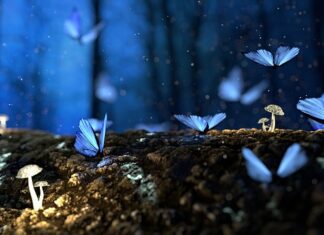 Dlaczego piła przypala drewno? Dlaczego piła przypala drewno?