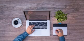 Co posadzić w bardzo słonecznym miejscu? Co posadzić w bardzo słonecznym miejscu?