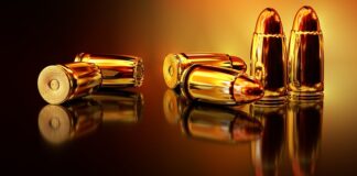 Jak zrobić kulę dla ptaków?