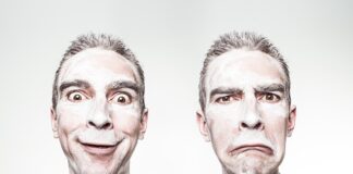 Co jedzą kosy na trawniku?