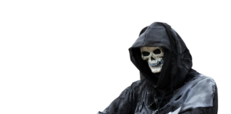 Jaki domek dla kosa?