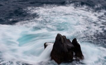 Jaka jest cena Cargo?