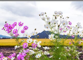 Jak zrobić bruzdę w ścianie? Jak zrobić bruzdę w ścianie?