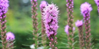 Ile za wycięcie otworu w blacie? Ile za wycięcie otworu w blacie?