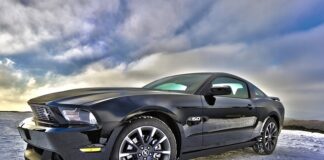 Jak wykorzystać Cargo?