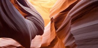 Jaki otwór w budce lęgowej dla sikorek? Jaki otwór w budce lęgowej dla sikorek?