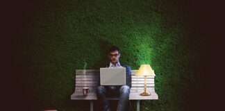 Co na żywopłot zimozielony szybko rosnący? Co na żywopłot zimozielony szybko rosnący?