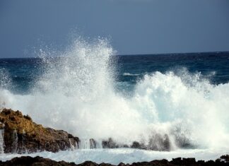 Czy szumowiny z rosołu są zdrowe? Czy szumowiny z rosołu są zdrowe?