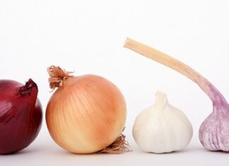 Jak przygotować glebę pod cebule?