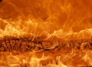 Jaka jest najlepsza marka butów?