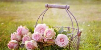 Jaki kosz cargo? Jaki kosz cargo?