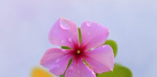 Jak kłaść kable w ścianie?