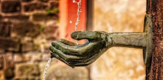 Co jaki czas trzeba czyścić budki lęgowe? Co jaki czas trzeba czyścić budki lęgowe?