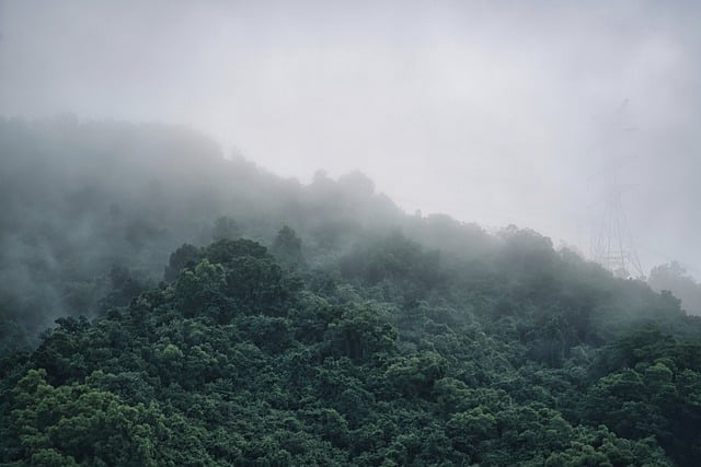 Co zrobić żeby zupa była gęsta? Co zrobić żeby zupa była gęsta?