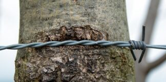 Jak naostrzyć piłę do drewna?