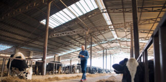 Trwałość i wytrzymałość stalowych hal rolniczych